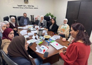 سلطة الطاقة تنفذ سلسلة لقاءات تدريبية حول إدماج النوع الاجتماعي بالتعاون مع مشروع PROSPER.