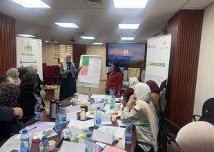 سلطة الطاقة تنفذ سلسلة لقاءات تدريبية حول إدماج النوع الاجتماعي بالتعاون مع مشروع PROSPER.